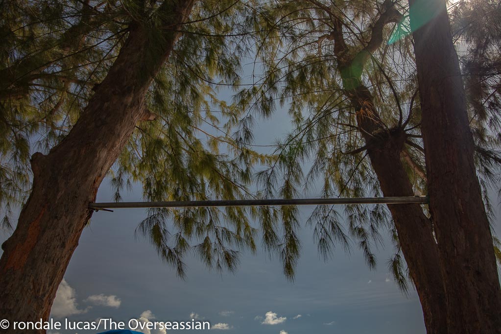 The pull up bar at Enterprise Beach .Barbados.